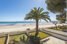 Ferienwohnung in Puerto de Alcudia - Apart. Playa los Pinos