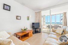 Ferienwohnung in Puerto de Alcudia - Apart. Playa los Pinos